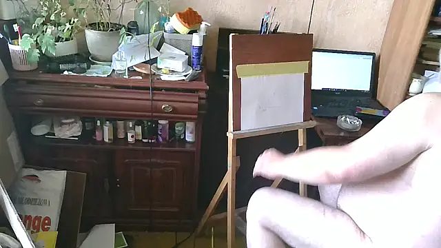 Art_Ass – Kamerová šou