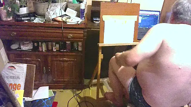 Art_Ass 网络视讯表演