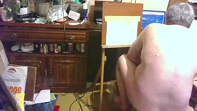 Art_Ass – Kamerová šou