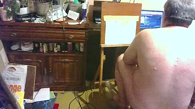 Art_Ass – Kamerová šou