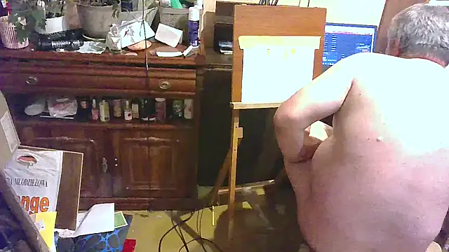 Webkamerová show Art_Ass