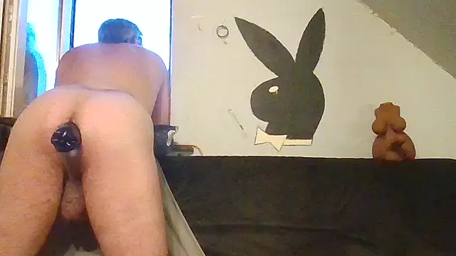 Show Webcam de herry150