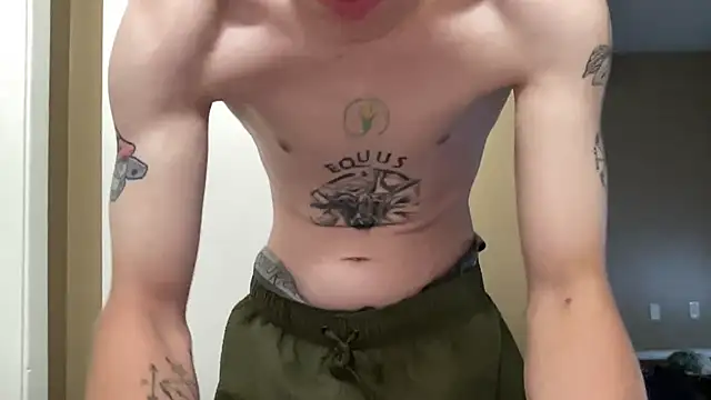 Mikeswanston's Webcam Show