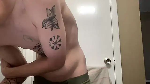 Mikeswanston's Webcam Show