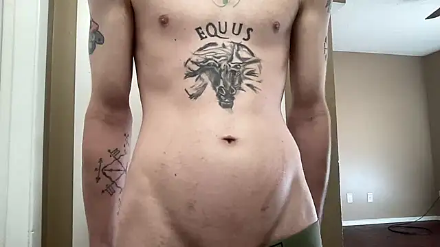 Mikeswanston's Webcam Show