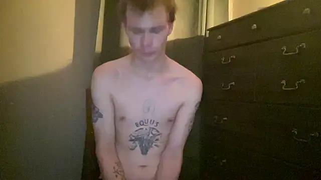 Mikeswanston's Webcam Show