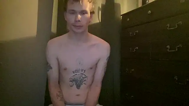 Show Webcam de Mikeswanston
