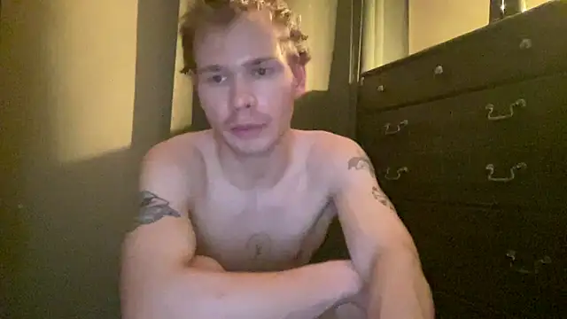 Mikeswanstonのウェブカメラショー