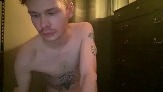 Show webcam de Mikeswanston