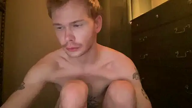 Mikeswanston's Webcam Show