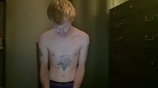 Show de Mikeswanston na webcam