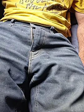 FloppyPickle4u Show in webcam