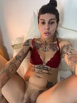 Show de Nikatsu na webcam