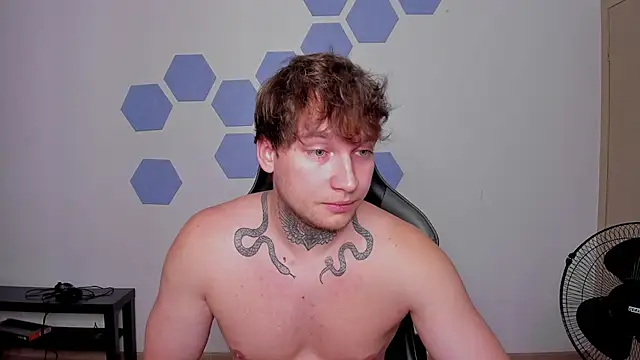 Chris_Tysonn Webbikameraesitys