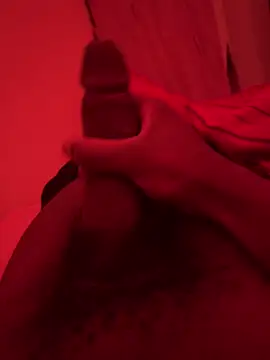 Show webcam de tatou18