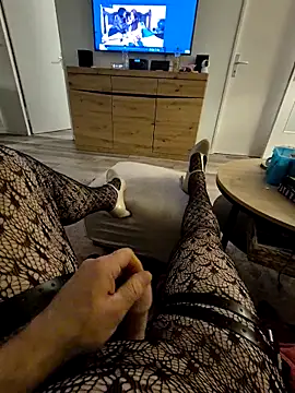 Steindammbob webkamerás műsora