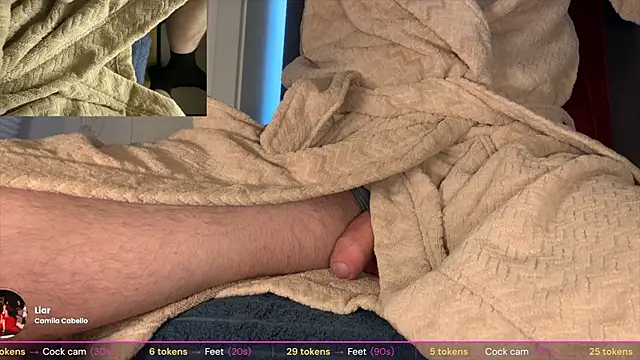 brsrkrn Webbikameraesitys