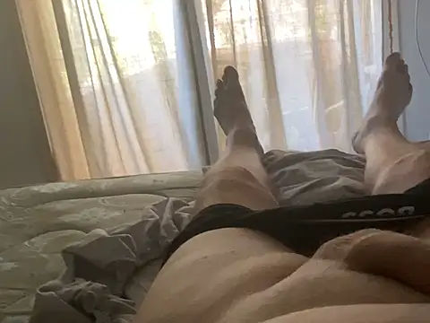 Show webcam de Bossinmidd12