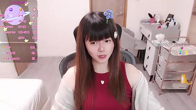 a0513 Show Webcam
