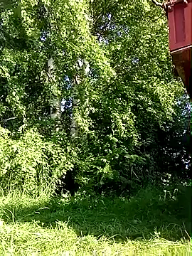 _uncle_Mitya-43_ Show in webcam