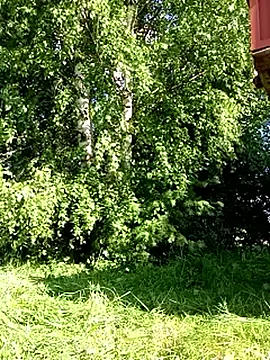 Webkamerová show _uncle_Mitya-43_