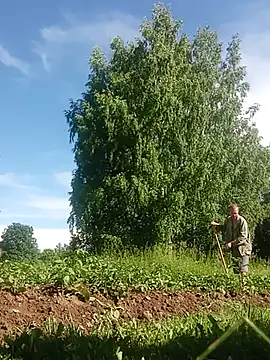 _uncle_Mitya-43_ Show Webcam