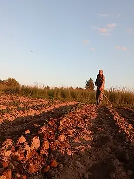 _uncle_Mitya-43_ 网络视讯表演