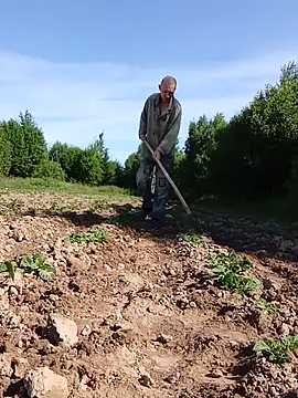 _uncle_Mitya-43_: вебкам-шоу