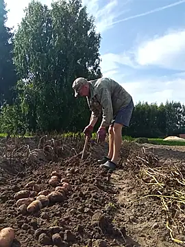 Вебкам-шоу _uncle_Mitya-43_