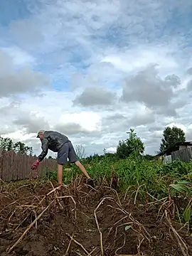 _uncle_Mitya-43_ Pertunjukan Webcam