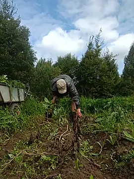 _uncle_Mitya-43_: вебкам-шоу