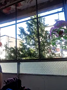 Evadesirex46n Webbikameraesitys
