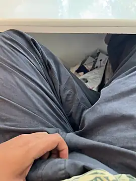 dick69liln Webbikameraesitys