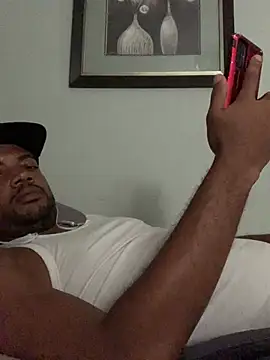 Show webcam de MrPresident_P