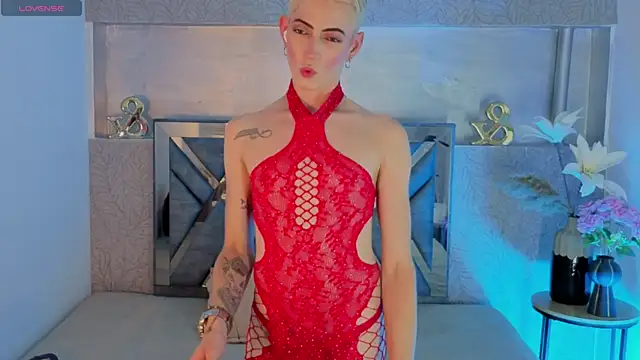 dominic_thailor 웹캠 쇼