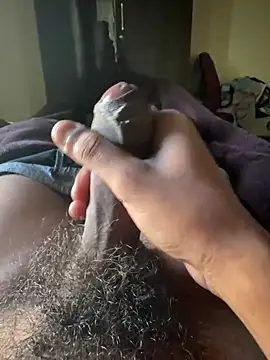 Show webcam de hairydude49