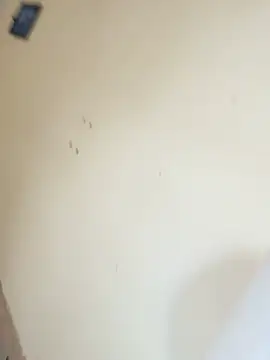 hairydude49 Webcam Show