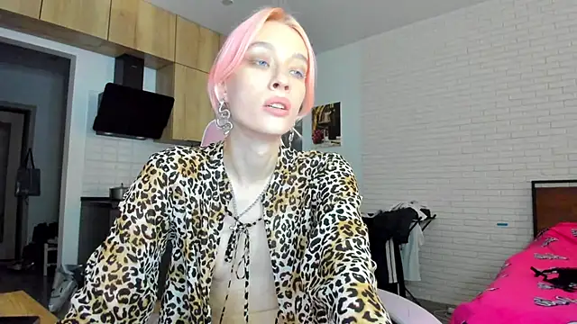 _Alice_Kittyn Webbikameraesitys