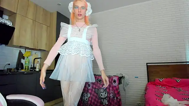 _Alice_Kittyn Webbikameraesitys