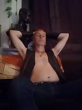 SHARPSkinheadn Webbikameraesitys