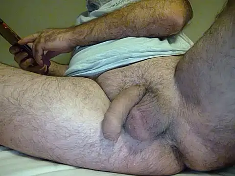 dav8038 Show Webcam