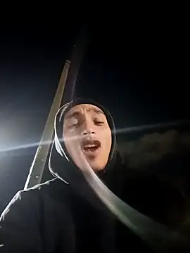 Show webcam de Performance369