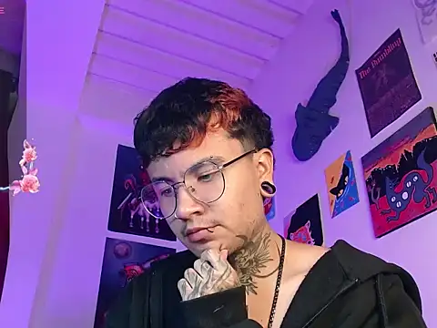 Show webcam de dannteftm