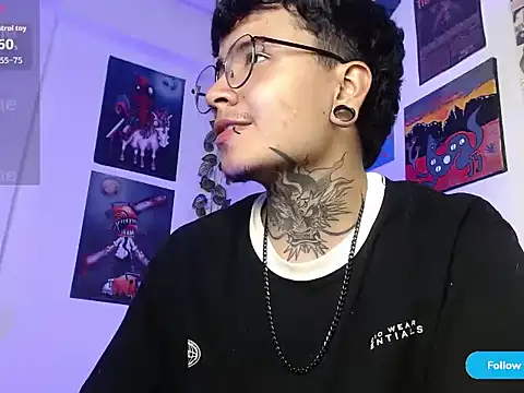 Show de dannteftm na webcam