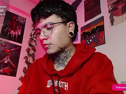 Вебкам-шоу dannteftm