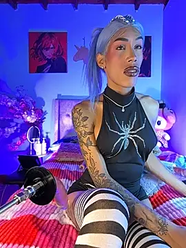 Show webcam de Naugth_channel_ts