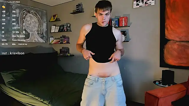 simonvnln Webbikameraesitys