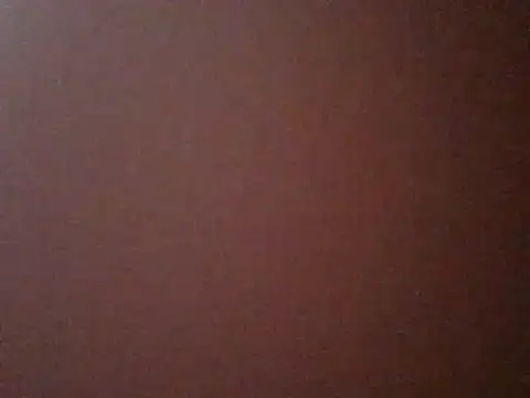 Show Webcam de BkBrunynn