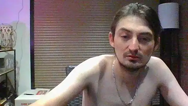 Wesleymodeln Webbikameraesitys