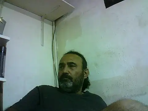 عرض كام enginbasar